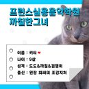 프린스실용음악학원 이미지