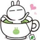 빠리바닷가재 이미지