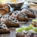 강화 홀리데이 이미지