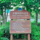 쌍촌동 오월어린이공원 이미지