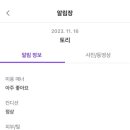 집에서도 간단히 반려견 미용 이미지