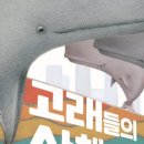 고래들공원 이미지