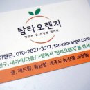 탐라 오렌지