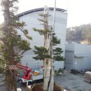 주목나무집 이미지