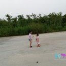 따따따PC 이미지