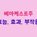 (주)에이치메드 티스토리