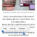 겨울쿨톤 클리어 베리페일 쿠션/립/섀도우 총정리 (30종류 이상 꿀팁💜)