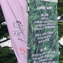 울산 태화강국가정원 남구둔치는 뜨겁습니다. 이미지