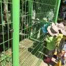 참조은어린이집 놀이터 이미지