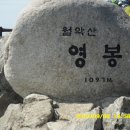신세화마트 이미지