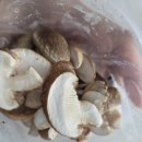 송화 농장 | 라면 국물의 품격이 달라지네요. 손질 필요 없는 '송화버섯슬라이스' 솔직 후기 (ft. 식감이 고기네?)