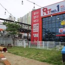 펫넘버원 이미지