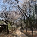 얼라인 짐 | 얼라인 유산균 복부 가스 불편함 때문에 시작해본 후기