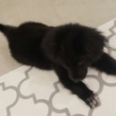 깍고밀고이발 이미지