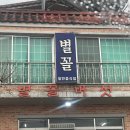 별꼴버섯