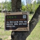 강저제1근린공원 이미지