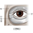 사바아사나 이미지