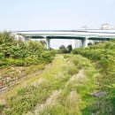 서판교센트럴공인중개사사무소 이미지