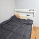 16-16-01 | LH행복주택 16형 후기ㅣ좁은집 원룸 공간 활용법ㅣ옷장 까사마루 2단 행거ㅣ우정플러스 전기요ㅣ퍼리든...