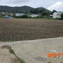 신안 교차로 ~ 해남터널 이미지