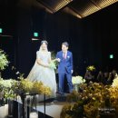 W38. 메리다 결혼식 ㅣ 본식 후기 ㅣ 본식 스냅촬영 꿀팁 ㅣ 아베크 스냅 ㅣ 무보정