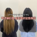 블루블랙포인트 | 송파역미용실 쿨톤 염색 블루블랙 후기ㅣ박준뷰티랩 송파헬리오포레점