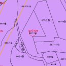 배들공인중개사사무소 이미지