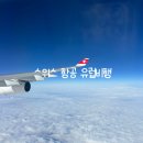 188 | 스위스항공 이코노미ㅣLX123, LX188 기내식 후기ㅣ무료 라면, 좌석 지정 등