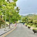 중앙공원3 교차로 이미지