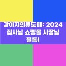 강아지의류도매: 2024 집사님 쇼핑몰 사장님 필독!
