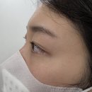 브로운브로우 | 강남 속눈썹펌 은브로운앤뷰티 후기