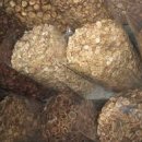 해통백세한의원 이미지