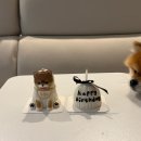 몰래멍냥 네이버블로그