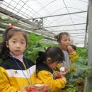 삼정초병설유치원 이미지