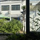 시블링스