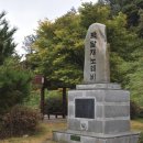 나무이야기민박 이미지