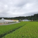 송산2리마을회관 이미지