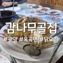 감나무골집 | 광양 옥곡 맛집 🐔, 몸보신 제대로 한 '감나무골집' 옻닭 후기 ✨
