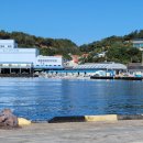 거진항(판매장) 이미지