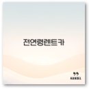 영일카서비스 | 제주도 전연령 렌트카 조건 가격 사고 대처까지 1분 정리