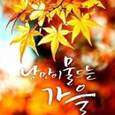 "나홀로 '서리풀근린공원' 산책"＜2023.10.30(월)＞ 이미지