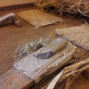 김병기농장 이미지