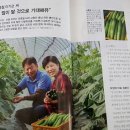 가브리엘 농장 이미지