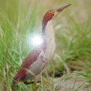 김신환동물병원 이미지