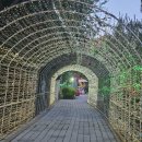 별빛랜드 | 안산 별빛마을 포토랜드 후기