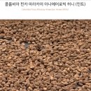 디코드커피