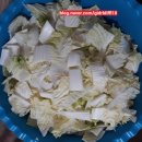 어촌삼식 이미지