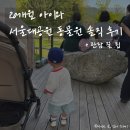 20개월 아이와 서울대공원 동물원 방문 솔직 후기(유모차, 입장권 꿀팁)