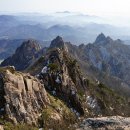 영암실내체육관 실내체육관 이미지