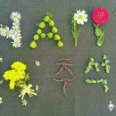 두리하나 이미지